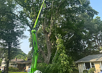 Norfolk Tree Services Great Scott Tree Service
