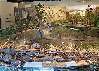 Modesto Places To See Great Valley Museum