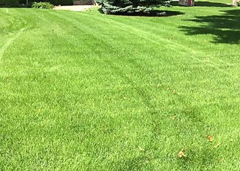 Sioux Falls Lawn Care Services Green 4 Ever Inc.