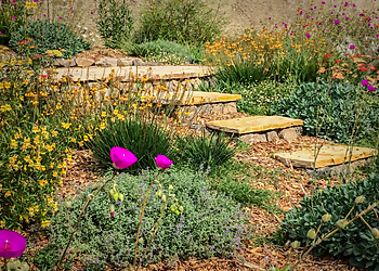 Berkeley Landscaping Companies Green Gallery Landscape Design & Construction
