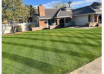 Gilbert Lawn Care Services Green Keeper Weed Control