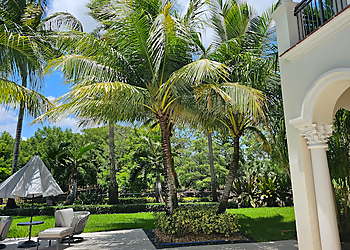 Coral Springs Tree Services Green Monkey Tree Services