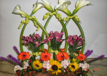 Jackson Florists Green Oak