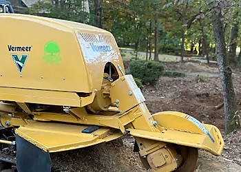 Green Oak Tree Experts - High Point, NC Tree Services - Project Image