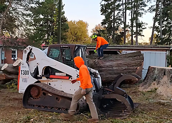 Green Oak Tree Experts - High Point, NC Tree Services - Field Work Image