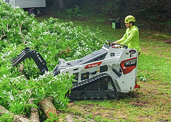 Green Oak Tree Experts - High Point, NC Tree Services - Service Image