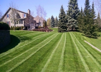 free bbm dating site