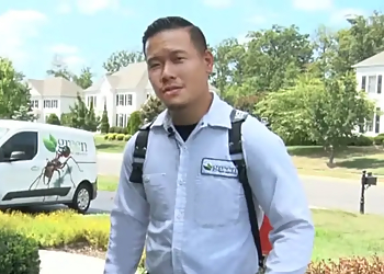 Washington Pest Control Companies Green Pest Services