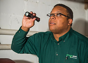 Allentown Pest Control Companies Green Pest Solutions