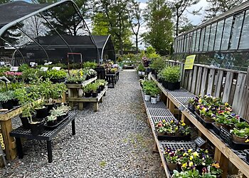 Alexandria Places To See Green Spring Gardens