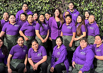 GreenTerra Cleaning Service San Francisco House Cleaning Services GreenTerra Cleaning Service