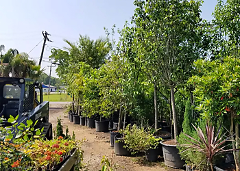 Beaumont Landscaping Companies Green Thumb Nursery & Landscaping