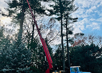Providence Tree Services Green View Tree Service