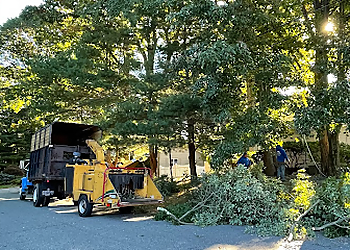 Providence Tree Services Green View Tree Service