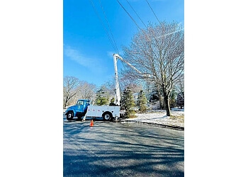 Green View Tree Service Providence Tree Services