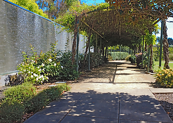 Santa Rosa Landscaping Companies Green Vine Landscaping