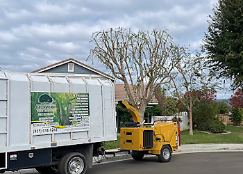 Green Vision Tree Service Moreno Valley Tree Services image 1