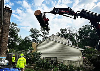 Alexandria Tree Services Green Vista Tree Care