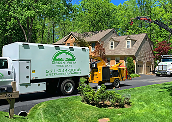 Green Vista Tree Care Alexandria Tree Services image 1