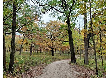Naperville Hiking Trails Greene Valley