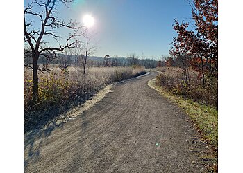 Naperville Hiking Trails Greene Valley