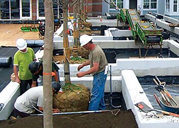 Lowell Landscaping Companies Greener Group LLC