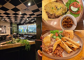 El Paso Vegetarian Restaurants Greenery Restaurant