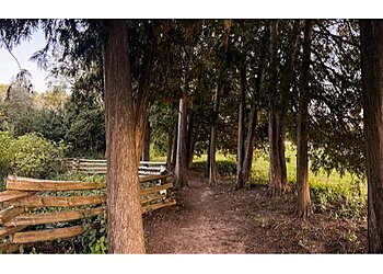 Milwaukee Hiking Trails Greenfield Park