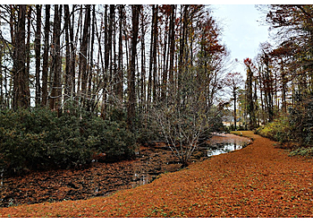 Wilmington Hiking Trails Greenfield Park