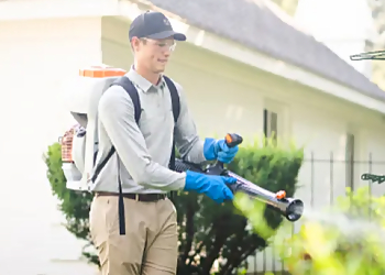 Columbus Pest Control Companies Greenix Pest Control