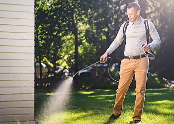 Grand Rapids Pest Control Companies Greenix Pest Control