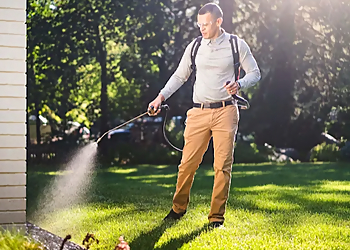 Naperville Pest Control Companies Greenix Pest Control