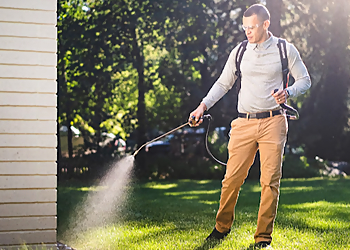 Des Moines Pest Control Companies Greenix Pest Control Des Moines