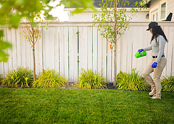 Des Moines Pest Control Companies Greenix Pest Control Des Moines