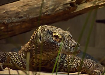 Greensboro Places To See Greensboro Science Center