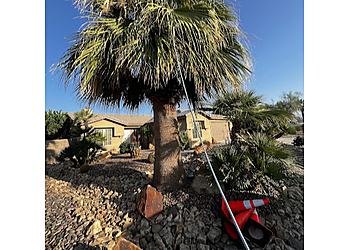 Murrieta Tree Services Greenway Landscape