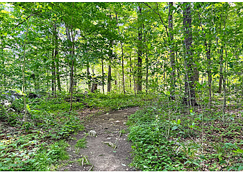 Stamford Hiking Trails Greenwich Audubon Center