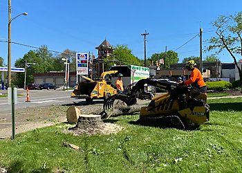 Cincinnati Tree Services Gregory Forrest Lester Inc