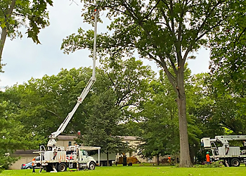 Cincinnati Tree Services Gregory Forrest Lester Inc