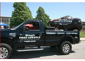 Buffalo tree service Greg’s Tree Service