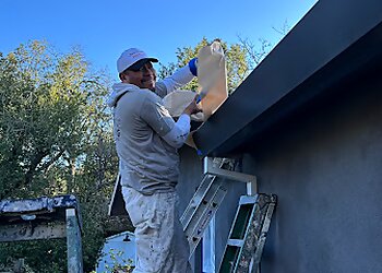 Santa Rosa Painters Grey Wolf Painting