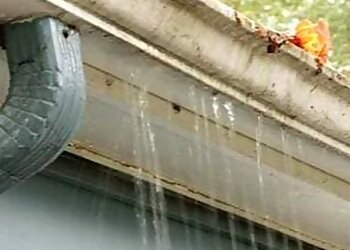 West Palm Beach Gutter Cleaners Grimes Gutter Cleaning