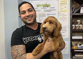 Chicago Pet Grooming Grooming By Galdy