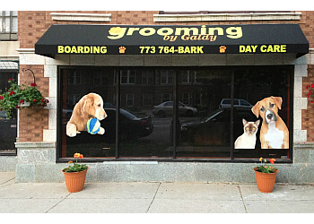 Grooming By Galdy Chicago Pet Grooming