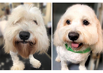 Dayton Pet Grooming GroomingDales Pet Salon & Day Spa