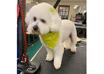 Dayton Pet Grooming GroomingDales Pet Salon & Day Spa