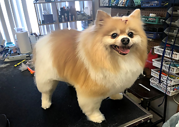 GroomingDales Pet Salon & Day Spa Dayton Pet Grooming image 1