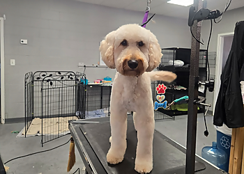 Columbia Pet Grooming Groomingdales of Columbia