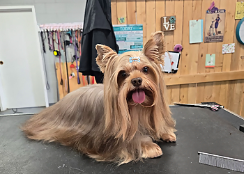 Columbia Pet Grooming Groomingdales of Columbia