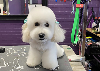 Thornton Pet Grooming Groomingdale's pet grooming